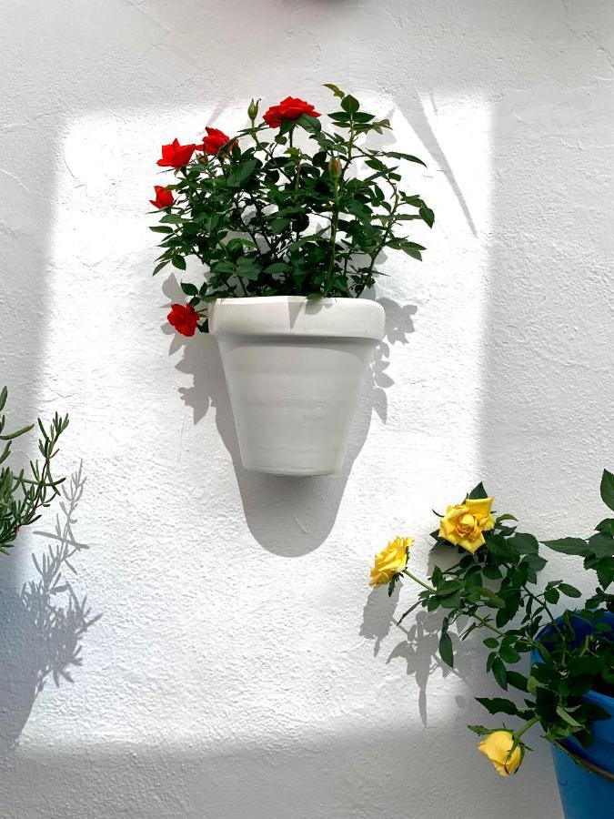 Casa Rural Les Avies Cerca Del Mar Ла-Нусия Экстерьер фото